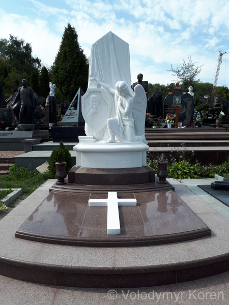 Пам'ятник В.Рокитському